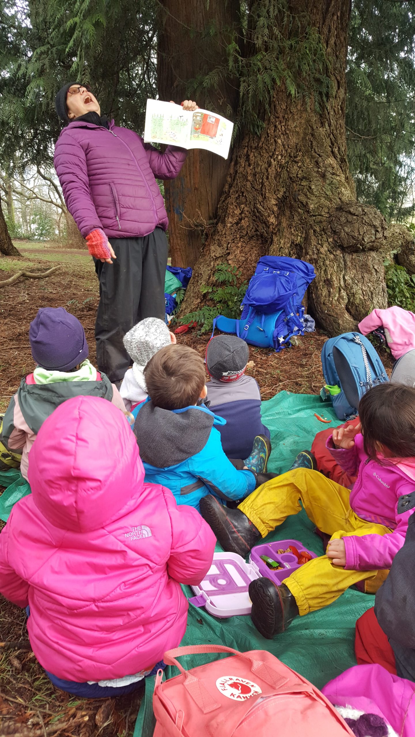 Belva Reading Stories